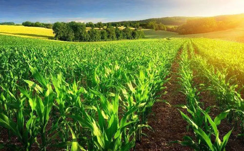 ��һ������ ���׏ͷ��ИI����ô����