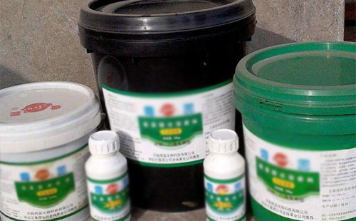 ��(gu��)��(n��i)���������Ŀǰ���ڵĆ�(w��n)�}�c�l(f��)չǰ��