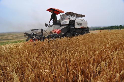 ���a��1453.9�f�����ӱ��ļZϲ�@�S��