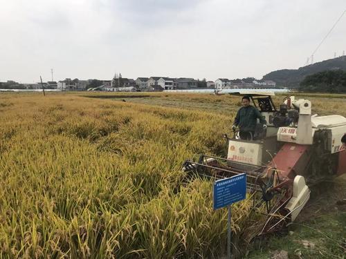 �����˴������_���ʜp����Ч������ˮ����(c��)��ʩ�ʬF(xi��n)���^Ħ��