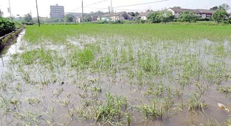 ����ӡ�l�ĺ��r�������a�֏ͼ��g����