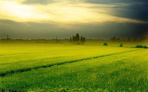 δ��7��������ό����l���L��