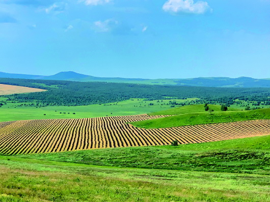 ����n�ǣ��_չ���ό�헙z�� �_���������_չ