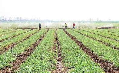 ����ؔ��֧���r�I���a��������� �ӿ����MС�r���ͬF���r�I�lչ�ЙC㕽�