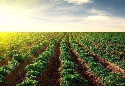 ����Ժ�k���dӡ�l֪ͨ �ԛQ��ֹ���ء����r�����О�