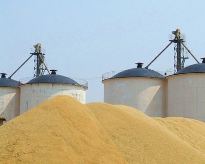 �Ї��Z���Lʲô�����Zʳ���Ӄ�����̽�L������Z�}��