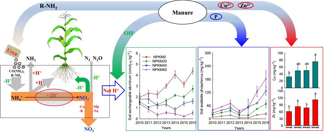 ��(y��u)�����ʹ��������ЙC�ʷ��μt���ữЧ��
