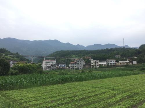 ���ϳ����� ʯ�T�h����ˮ�Ŀ��Ч�@���@�϶�