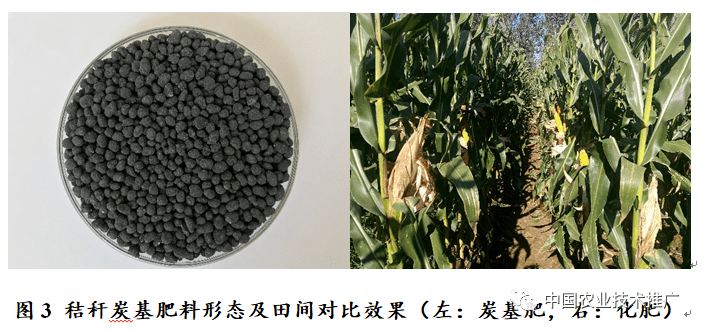 ���ɹ����΅^�ɆT���ӽն�̿����������Ч���g�F����