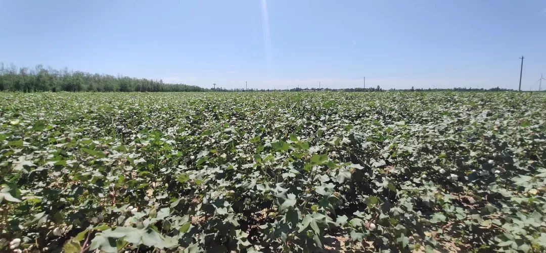 �޻������rˎ�pʩ���g�����cʾ��Ч��ͨ�^���ҙz�y