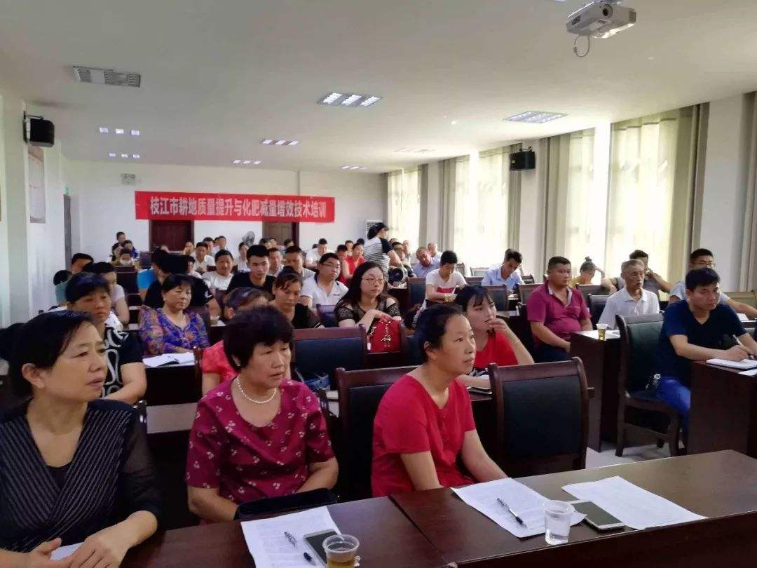 ����ʡ���ʜp����Ч�������M(j��n)�߼��g(sh��)��Ӗ(x��n)��(hu��)�ڼ������_(k��i)