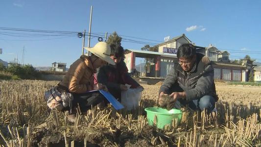 �ؑc�����(zh��n)�ƏV�y(c��)���䷽ʩ�� ���a(ch��n)��Ч���h(hu��n)��