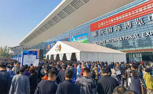 ��ֲ���p�����|�L(f��ng)����I(y��)�e�O̽����(chu��ng)�°l(f��)չ֮·��