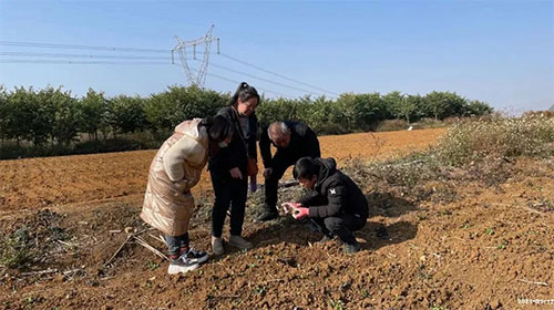 �Nֲ�����˺ϸ񻯷ʺ�pʧ��ʮ�f���r�Y�꣺�ԛQ���r