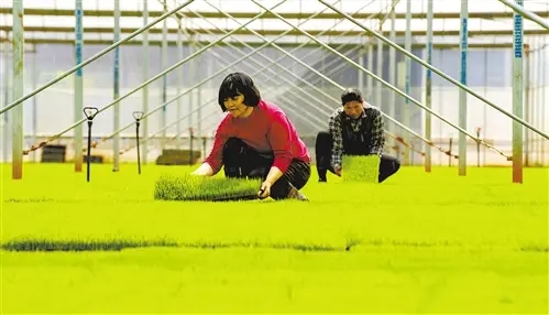 ���Ք�(sh��)��(j��)�@ʾ��һ�����r(n��ng)�Y����(y��ng)���� ����ȫ��չ�_