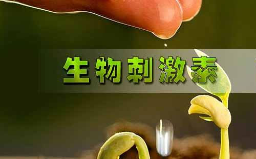 ���Ϙ��R���ˌ�ʩ�ڼ�������̼��ػ����R��������