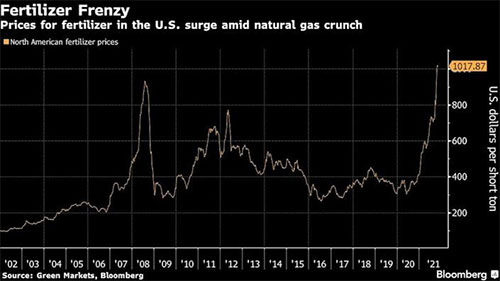 ȫ��ɴ�피������̰l�����棺���ʃr���j�q�B��߀�����m��