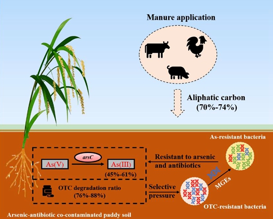������Ј��O(ji��n)��ίͨ�󻯷ʳ�z��r 5���ήa(ch��n)Ʒ���ϸ�