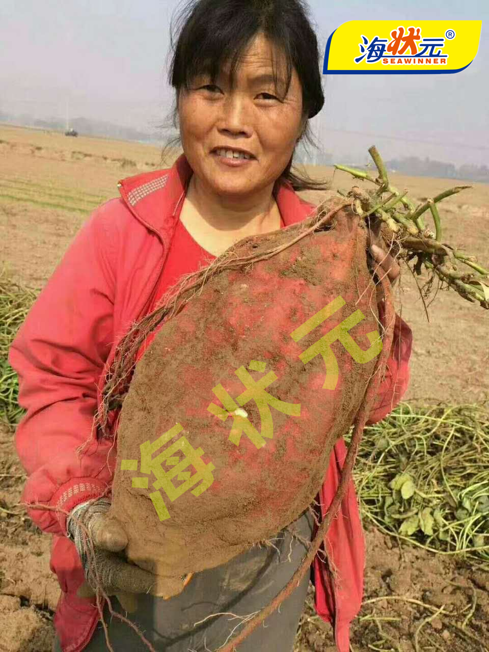 �H���T���@�F(xi��n)���ع��������_(d��)22.8�