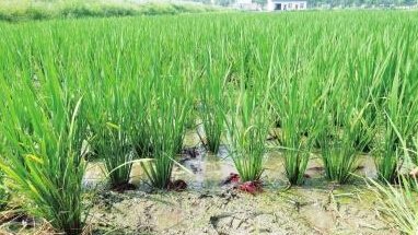 �f(w��n)ֲ����׌�r�ʵ���