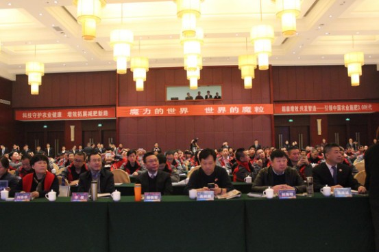 �@����I����A�ý��N�̵������𰸾����@����