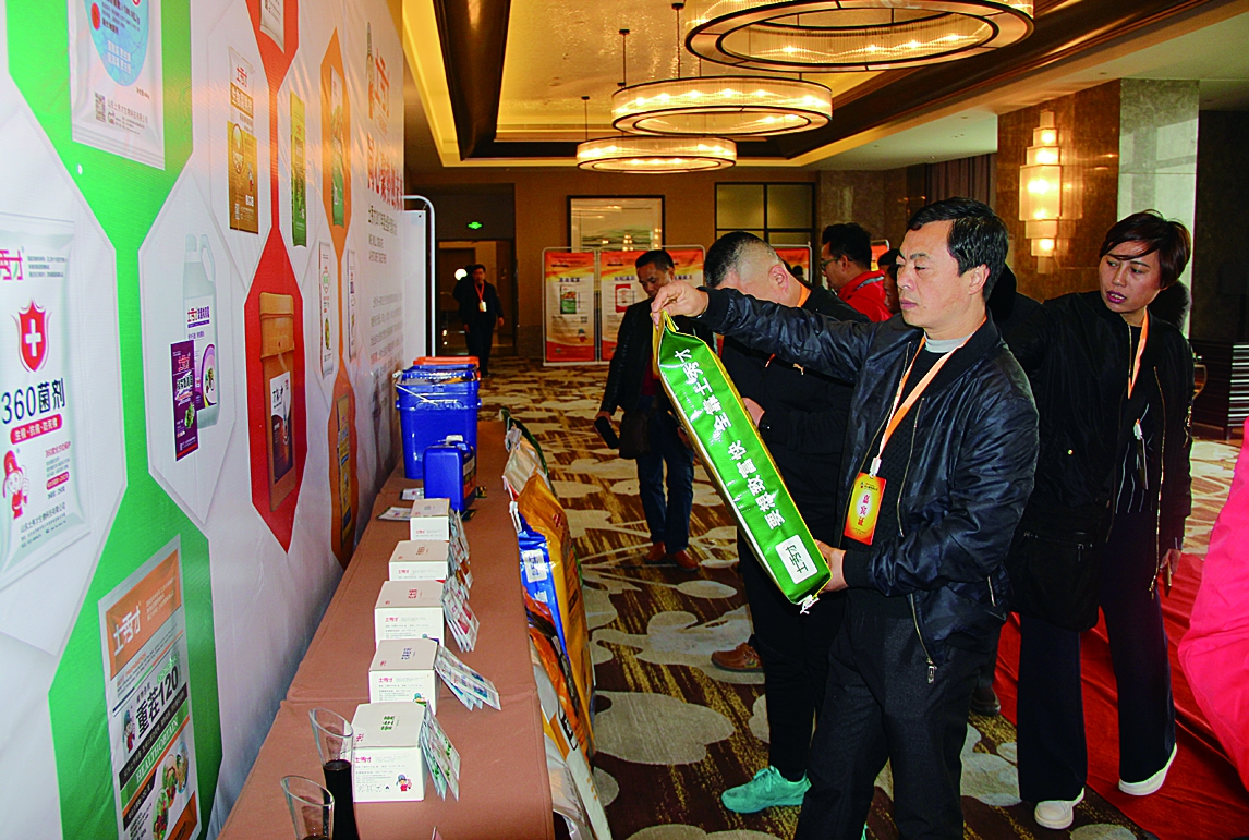 ������������̹�����������