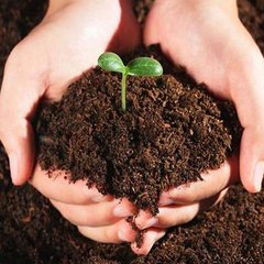 �_�׷�̫���N���������L