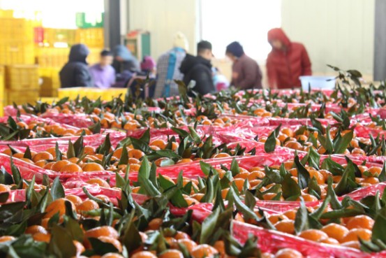 ���L����ס�W��&ldquo;�ᳱ &rdquo;  �@�ӵ�Փ�����&ldquo;�ؚ�&rdquo;141.jpg