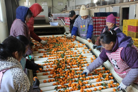 ���L����ס�W��&ldquo;�ᳱ &rdquo;  �@�ӵ�Փ�����&ldquo;�ؚ�&rdquo;139.jpg