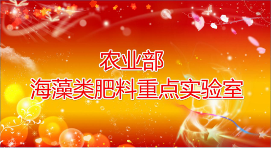 �r�I(y��)������������c�����������º��弯�F