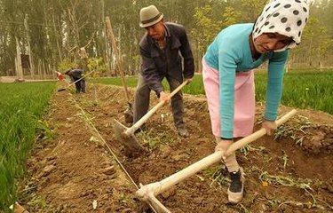 ��ɽ�S�ŷʘI���㡰�硱�ւ䴺��