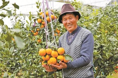 �F�����󣺃�(y��u)�|�aƷ�ͷ����������t���ˡ����ٮa�I(y��)������