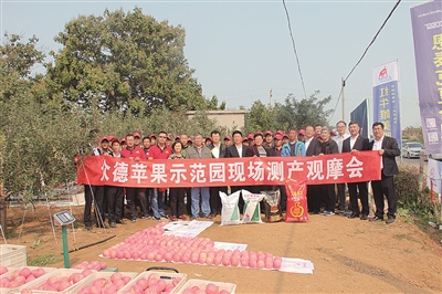 �N�O���ñ��� �߮a���a�]���f