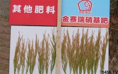 �����󣺹�˾�c��˹����Ժ��������������LЧ����������ʽ������