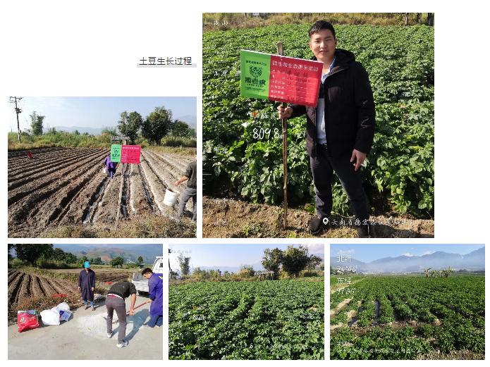 �����ϻ�����ӯ���������ѿ�