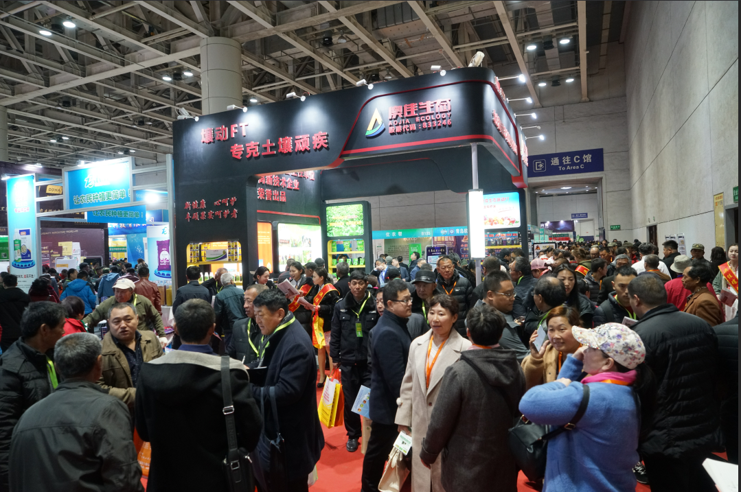 ����FT�����ӡ��R����� ������ɽ�|����ֲ����