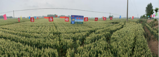 �ߜ��y���^Ħ����   &ldquo;���ӹ���&rdquo;�����A���L��306.png