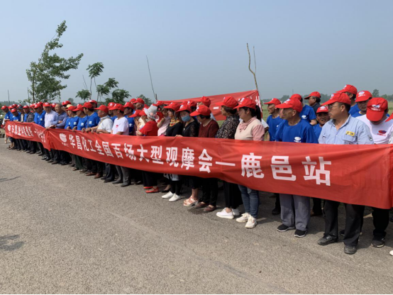 �ߜ��y���^Ħ����   �����ӹ�������A���L��