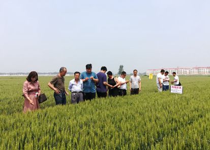 ���������ֵ��ø���������Ј�