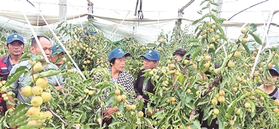 �ɿ����ɾͶ����Nֲ�_��