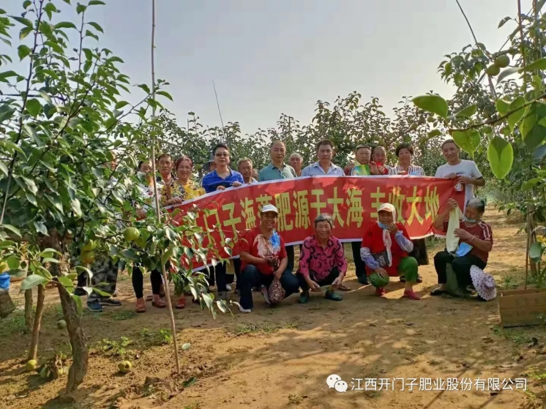 �_�T���R��������f�(zh��n)�����ʾ������