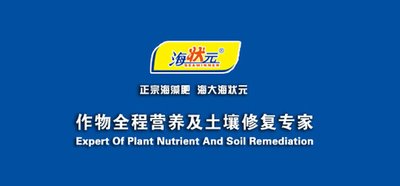 ��54321���I�N�����_�����������¾���