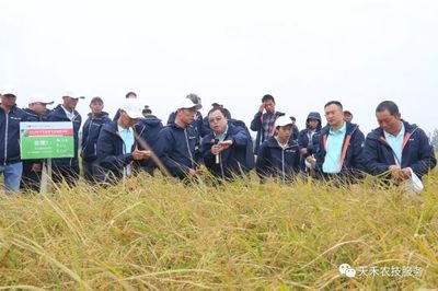 ����̼��ƽ��ʩ���(xi��ng)Ŀ�����҇�(gu��)ˮ���p����Ч̽·