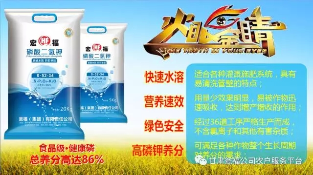 �����������������؂�Ʒ���Y�����F�������⛣���β����I����Ʒ��