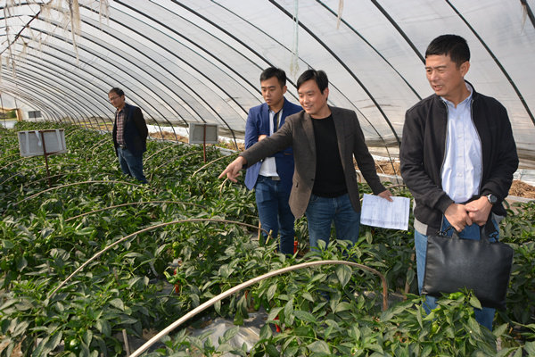 ����40%��˾�����ײͷ��_���������a�pʩ��ģʽ