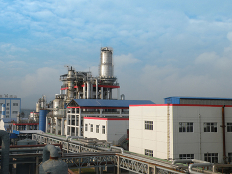 ɽ�|����̩���������ͺϷ������������Ŀ���ͨ�^�h�����