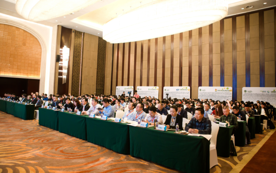 �Wҫ�Ƽ�֮��  �sҫ����Č��ɹ���ϵ��֮���{����193.png