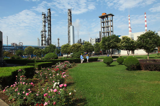 ���μ��2019�깲���a���ؽ�50�f��