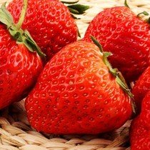 �ļ����Ӻ��o�|�۲�ݮ