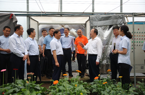 ɽ�|ʡ��ʡ�L�ڇ������������}�{�У����ֱ�����y������ͻ��